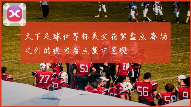 天下足球世界杯美女花絮盘点 赛场之外的视觉看点集中呈现