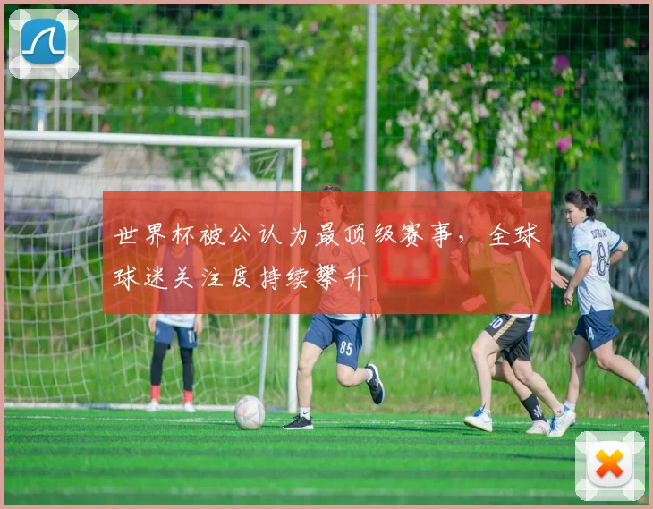 世界杯被公认为最顶级赛事，全球球迷关注度持续攀升