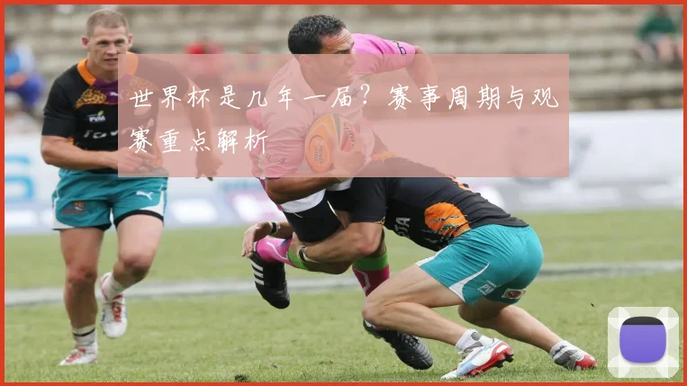 世界杯是几年一届？赛事周期与观赛重点解析