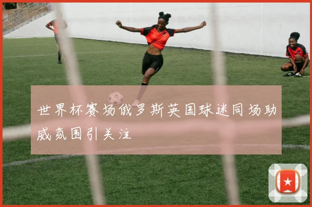 世界杯赛场俄罗斯英国球迷同场助威氛围引关注