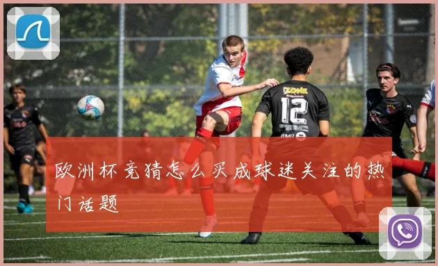 欧洲杯竞猜怎么买成球迷关注的热门话题